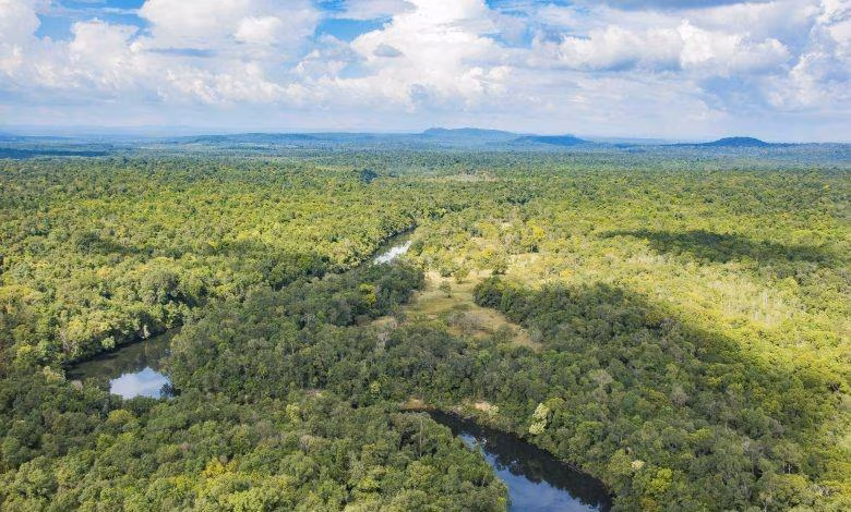 Trekking en Koh Kong y playa
