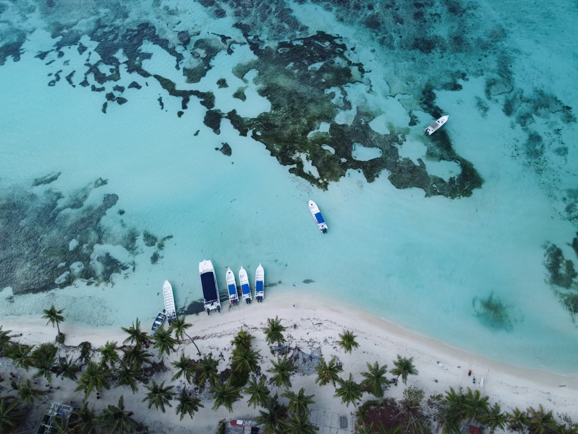 Rumbo a Saona: naturaleza, historia y snorkel