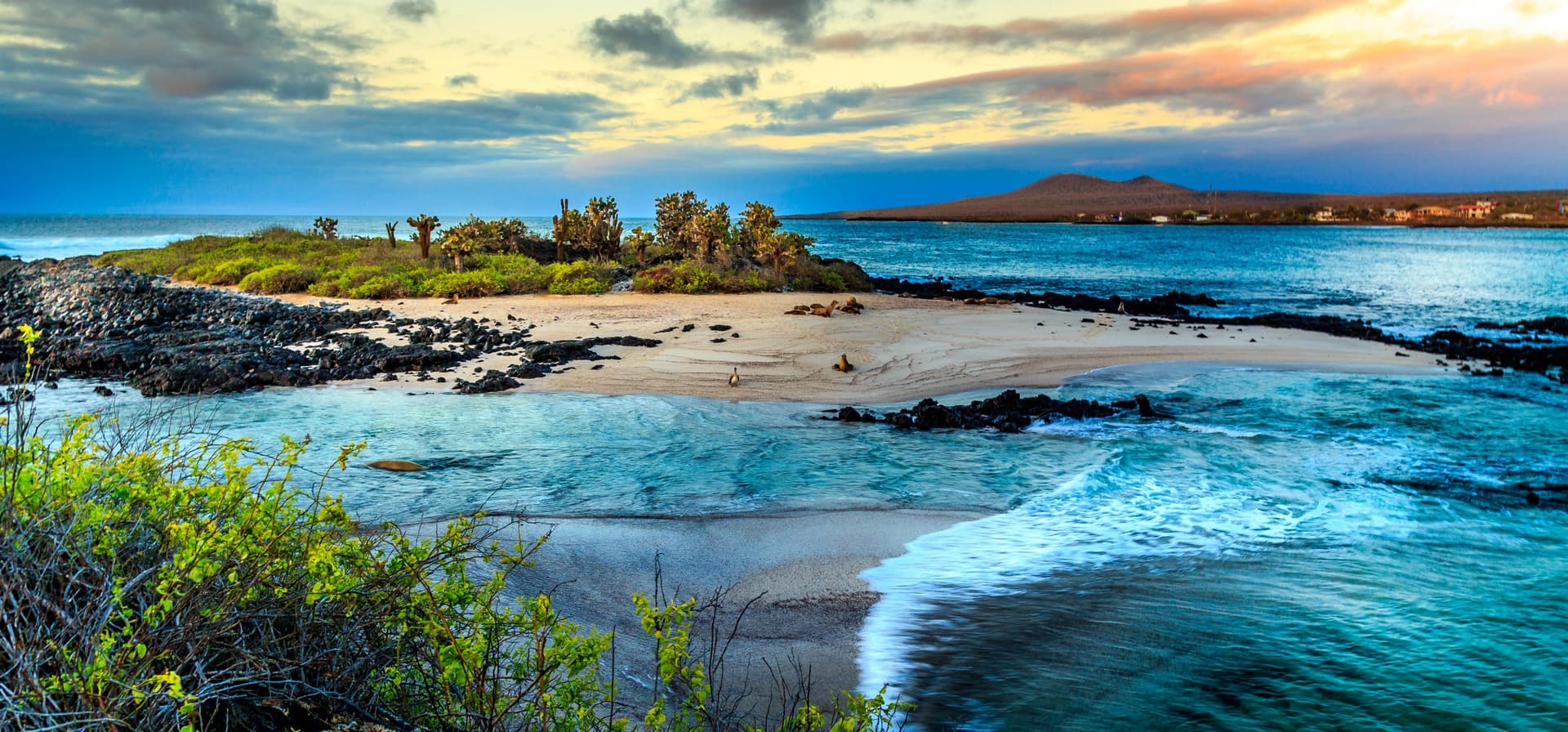 Las islas Galápagos
