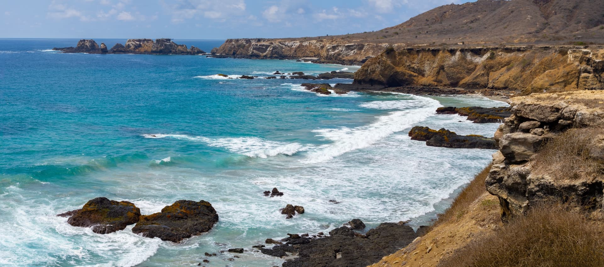 La isla de la Plata frente a Puerto López: ¡descubriendo las «pequeñas Galápagos»!