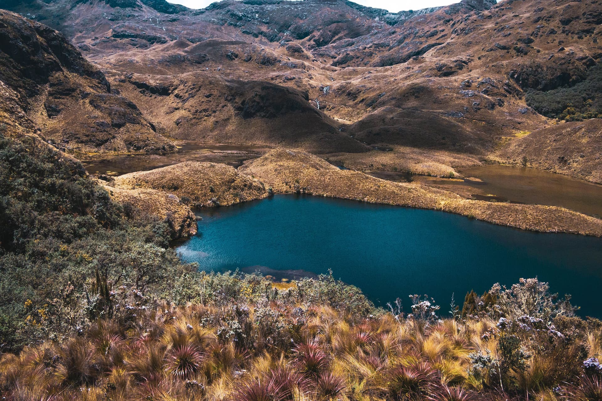 Reserva Ecológica Cayambe-Coca