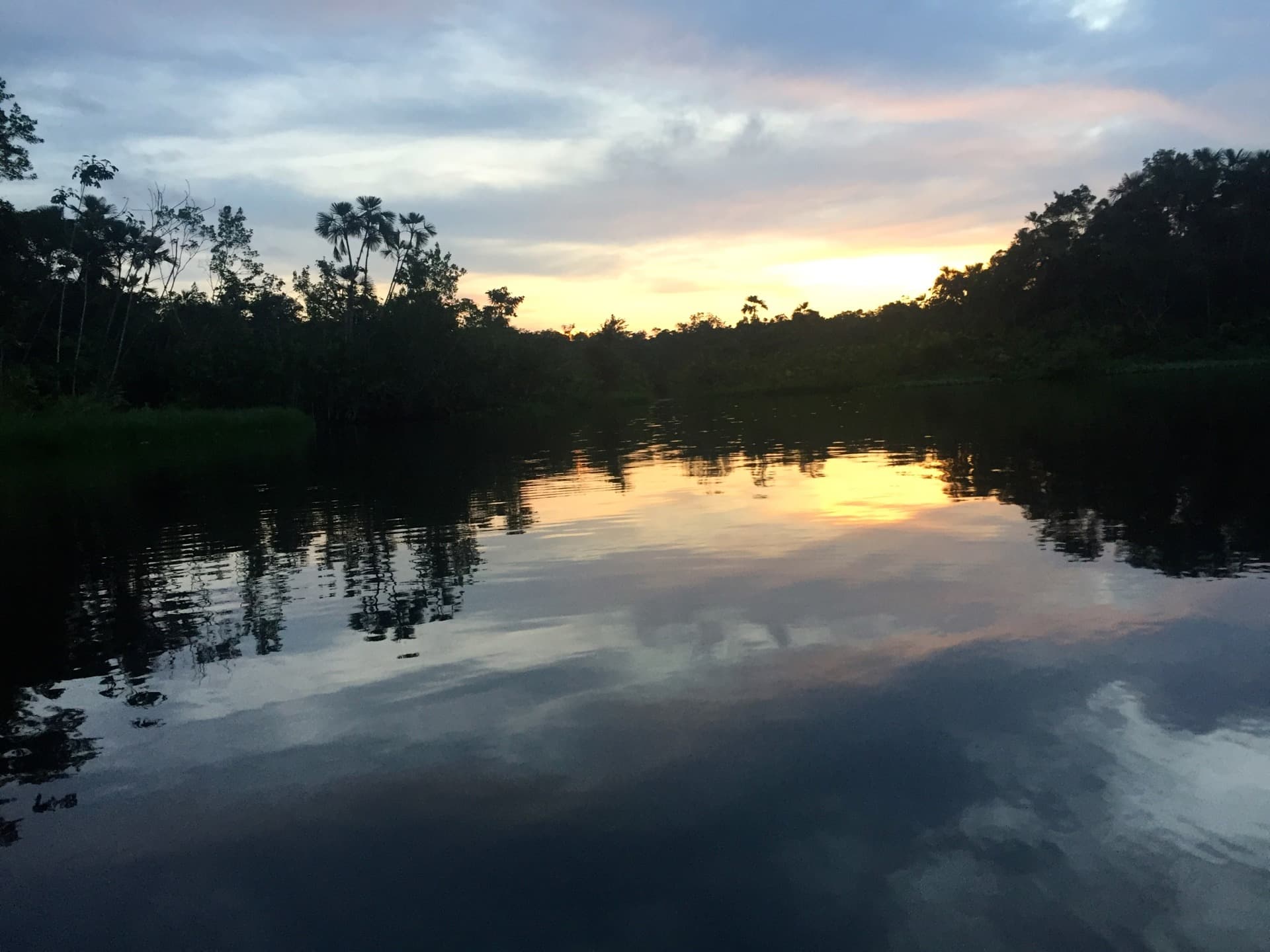 Parque Nacional Yasuní en la Amazonia